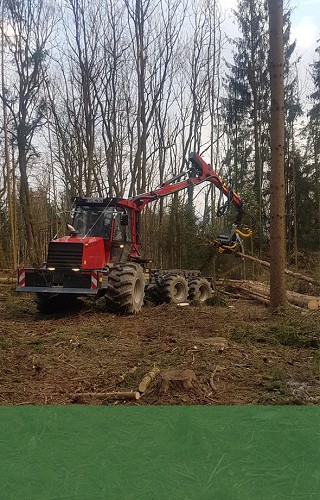 forst landschaftspflege wagner forstarbeiten