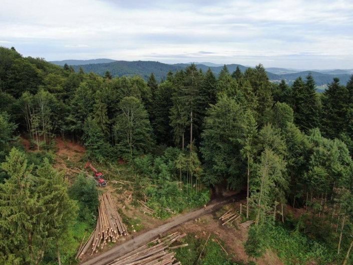 forst und landschaftspflege wagner kumreut IMG 20190817 WA0002