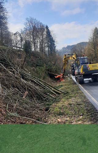 forst und landschaftspflege wagner kumreut gehölzpflege2