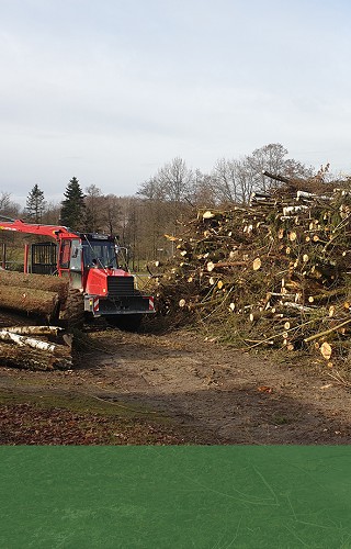 forst und landschaftspflege wagner kumreut rodung